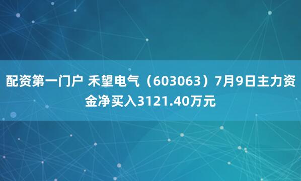 配资第一门户 禾望电气（603063）7月9日主力资金净买入3121.40万元